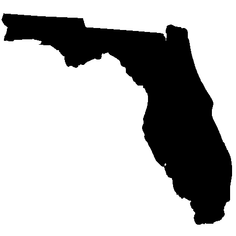 State of Florida Stencil - High Quality 10 mil -  Reusable Patterns