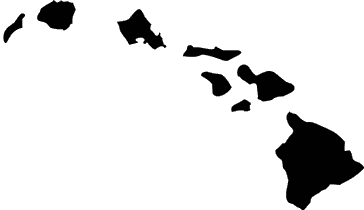 State of Hawaii Stencil - High Quality 10 mil -  Reusable Patterns