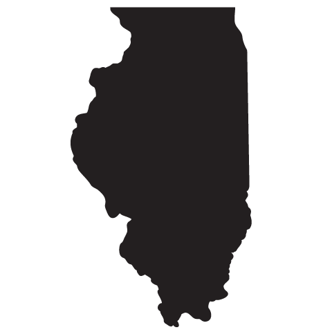 State of Illinois Stencil - High Quality 10 mil -  Reusable Patterns