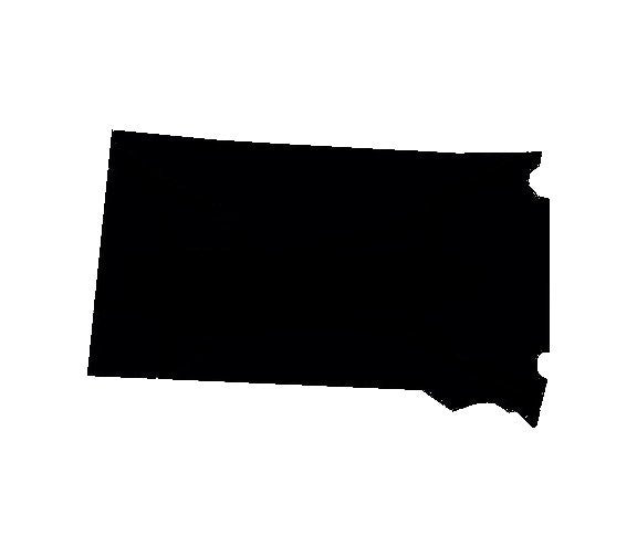 South Dakota - High Quality Stencil 10 mil -  Reusable Patterns