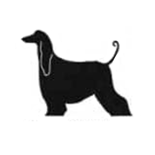 Afghan hound  - High Quality Stencil 10 mil -  Reusable Patterns
