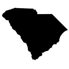 South Carolina  - High Quality Stencil 10 mil -  Reusable Patterns